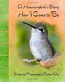 A Hummingbird's Story: How I Came To Be