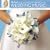 The Knot Collection of Ceremony and Wedding Music Selected by the Knot's Carley Roney