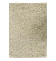 Lion Shaggy Rug