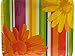 Kole Imports PB912-144 Floral Stripes Party Plates, 144 Piece