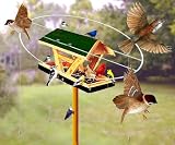 Sparrow Free Magic Halo
