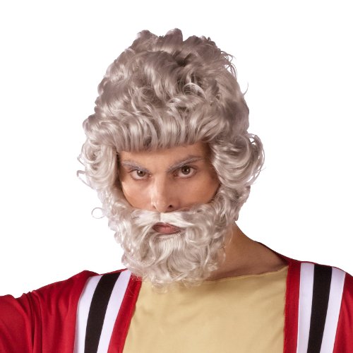 Moses Wig And Beard Set (Adult) Adult