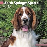 Welsh Springer Spaniel 2013 Wall Calendar #10119-13