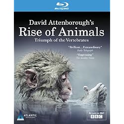 David Attenborough's Rise of Animals: Triumph of T [Blu-ray]