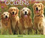 Just Goldens 2012 Calendar