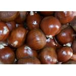 Colossal Chestnuts - 3 lbs.