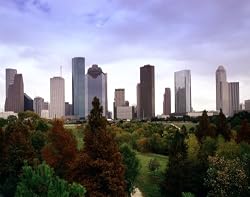Fall Comes to Houston Photograph - Beautiful 16"x20" Photographic Print by Carol M. Highsmith