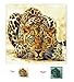 Startonight Canvas Wall Art Leopard - Animals Framed 32 x 32 Inches