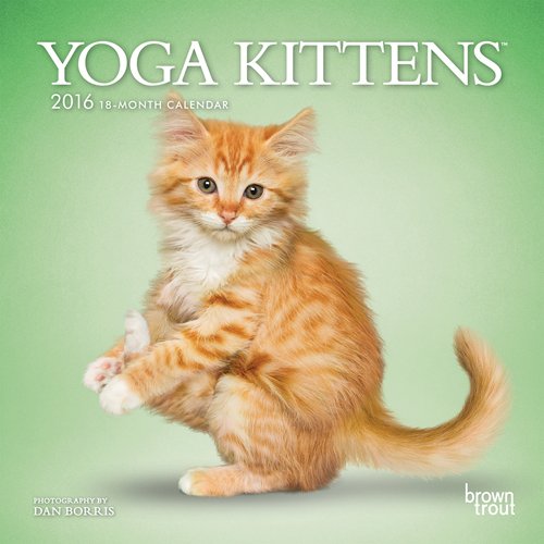Yoga Kittens 2016 Mini 7x7 (Multilingual Edition)
