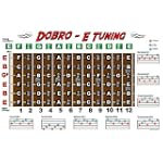 Dobro Fretboard Chart Resonator Guitar Poster - E Tuning
