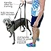 Q Global Dog Leash - Pet Supplies for Dogs Leashes - Dog Leash 2 Handles - 1 Leash 2 Handles - Dog Training Leash - Extra Strong Large Dogs