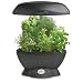 Outdoor Living : AeroGarden Space-Saver 6 with Gourmet Herb Seed Kit - Black