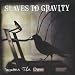 Scatter The Crows