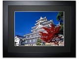 《オリジナルプリント》岡山城（岡山県/岡山市）