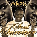 Soul Survivor - Akon Feat.Notorius Big