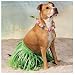 Grass HULA Skirt and LEI Set for LARGE BREED DOG/LUAU Tropical PARTY Decor/NOVELTY