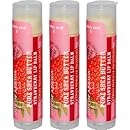Out of Africa Lip Balm, Strawberry, 0.15 Ounce ( pack of 3)