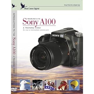 51t%2BWlIZ2wL. SL500 AA300  Introduction to the Sony A100 Digital SLR