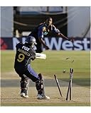 Photographic Print of Cricket - NatWest Pro40 League Division One - Sussex v Hampshire - The County... from PA Photos