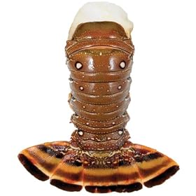 8-10 oz Brazilian Lobster Tails