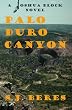 Palo Duro Canyon