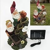 Détails sur le produit