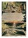Jerusalem the Emanation of the Giant Albion Giclee Poster Print