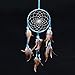 Blue Dream Catcher Traditonal Native American Dreamcatcher with Feathers 6.1