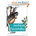 Ambient Findability