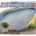 Billy Twitters and His Blue Whale Problem