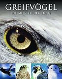 Produkt-Bild: Abenteuer Wildnis Greifv&ouml;gel: Die Meister der L&uuml;fte