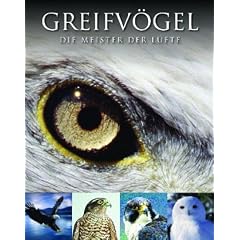 Abenteuer Wildnis Greifv�gel: Die Meister der L�fte
