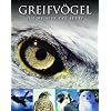 Abenteuer Wildnis Greifv�gel: Die Meister der L�fte