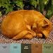 CLASSIC SLEEPING CAT STATUE Outdoor Garden Sculpture Cast Concrete NO RESIN