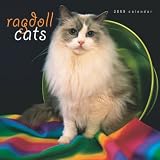 Ragdoll Cats 2009 Square Wall Calendar
