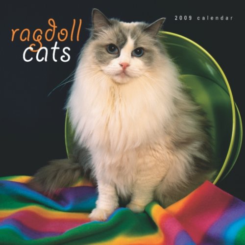 Ragdoll Cats 2009 Square Wall Calendar