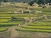 Photo Jigsaw 16x12 (40x30cm) Women walking up a path to their village through farmland by Robert Harding