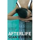 Afterlife