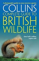 Collins Complete Guide to British Wildlife: A Photographic Guide to Every Common Species