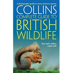 Collins Complete Guide to British Wildlife: A Photographic Guide to Every Common Species