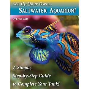 Set Up Your Own Saltwater Aquarium!