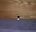 Spearmint 100% Pure Essential Oil 5 ML In Amber Glass Dropper Bottle By: Kismet Kreations