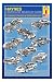 Haynes (American Muscle Cars) Poster