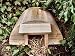 Kitchen & Housewares : Wildlife World Original Hedgehog House HH1
