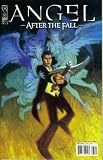 cover of Angel - After the Fall #4 Season 6 Chapter Four VARIANT Cover B by Andrew Robinson