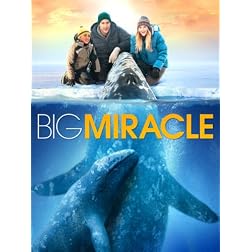 Big Miracle