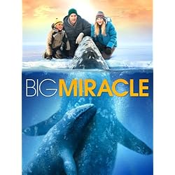 Big Miracle