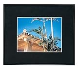 フジカラーアルミ額縁　A300　6切 インテリア その他インテリア [並行輸入品]