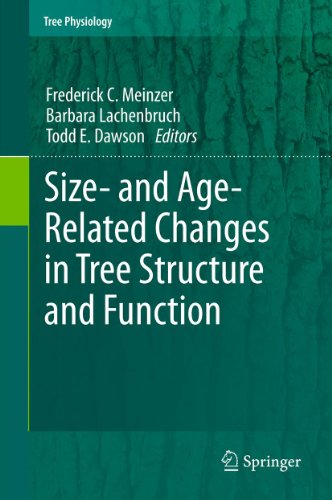 Size- and Age-Related Changes in Tree Structure and Function: 4 (Tree Physiology)