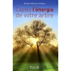 Captez l'�nergie de votre arbre